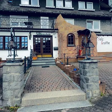 Haus Sonnenschein 아파트호텔 빈터베르크