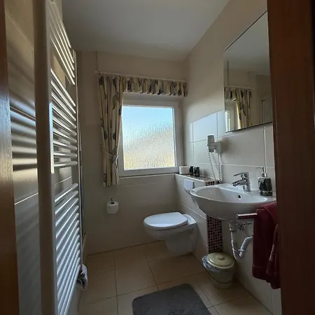 公寓式酒店 Haus Sonnenschein 温特贝格