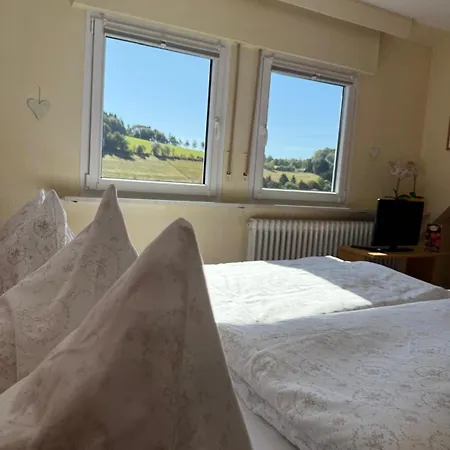 Haus Sonnenschein 아파트호텔 3*